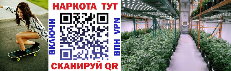 ГАШИШ Брянск