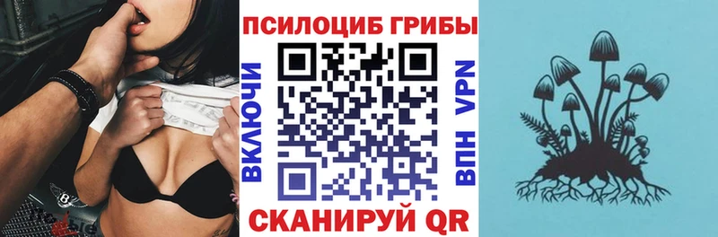 площадка наркотические препараты  KRAKEN ссылка  Брянск  Галлюциногенные грибы мицелий 