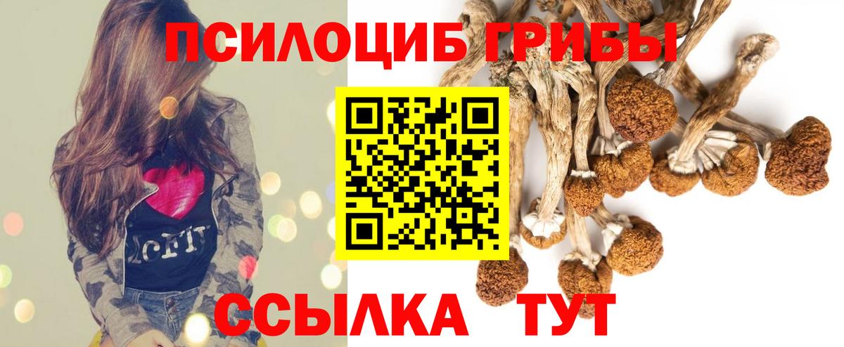 Галлюциногенные грибы Magic Shrooms  Вход с VPN  Галлюциногенные грибы Psilocybe  Брянск 